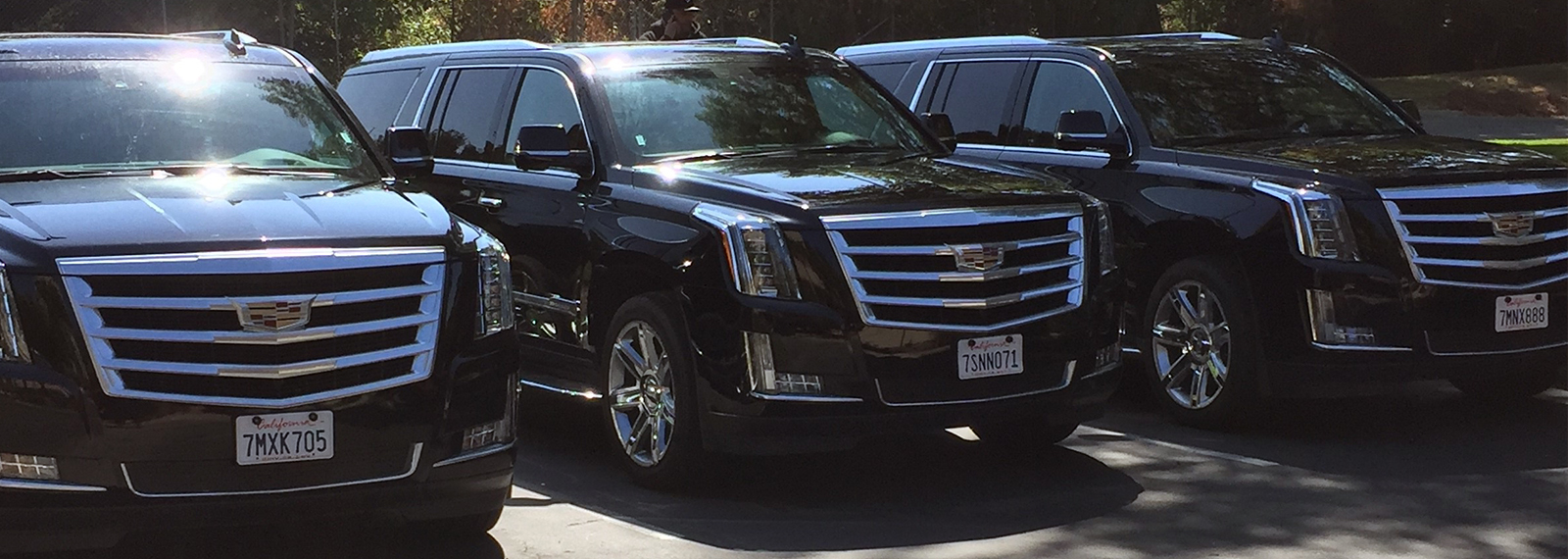 Executive Limo